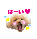 ★あんず＆ライチ★（個別スタンプ：3）