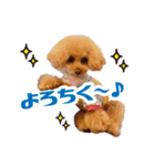 ★あんず＆ライチ★（個別スタンプ：4）