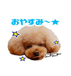 ★あんず＆ライチ★（個別スタンプ：5）