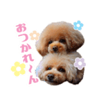 ★あんず＆ライチ★（個別スタンプ：6）
