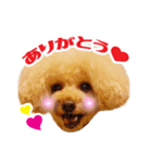 ★あんず＆ライチ★（個別スタンプ：7）