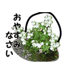 花束を貴方に（個別スタンプ：10）