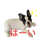 パンくんハウス4（個別スタンプ：2）