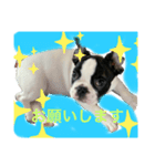 パンくんハウス4（個別スタンプ：3）