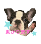 パンくんハウス4（個別スタンプ：6）