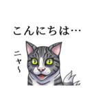 怪しげな猫（サバトラVer.）（個別スタンプ：3）