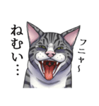 怪しげな猫（サバトラVer.）（個別スタンプ：5）