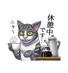 怪しげな猫（サバトラVer.）（個別スタンプ：15）