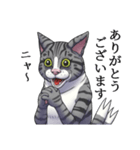 怪しげな猫（サバトラVer.）（個別スタンプ：23）