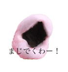 普段の会話で使えるかも3（個別スタンプ：1）