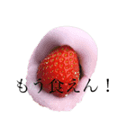 普段の会話で使えるかも3（個別スタンプ：5）