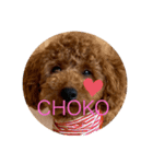♡国際ホテル♡わん©️（個別スタンプ：2）
