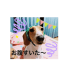 マロレモ②（個別スタンプ：2）