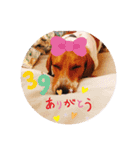 マロレモ②（個別スタンプ：8）
