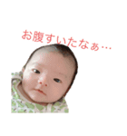 蓮月すたんぷ（個別スタンプ：1）