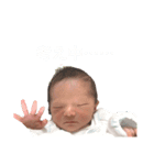 蓮月すたんぷ（個別スタンプ：5）