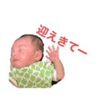 蓮月すたんぷ（個別スタンプ：6）