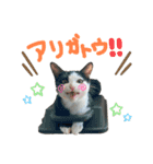 うちの長男のスタンプです。（個別スタンプ：3）