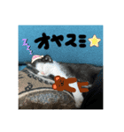 うちの長男のスタンプです。（個別スタンプ：6）