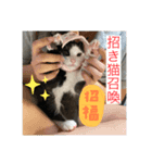 うちの長男のスタンプです。（個別スタンプ：13）