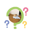 藤井家のあやめ2（個別スタンプ：14）