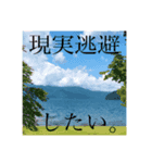 愛娘と動物の使いやすいスタンプ（個別スタンプ：8）