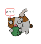 すたんぷにゃあ。残暑（個別スタンプ：6）