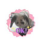 アリスうさぎ よく使うスタンプ（個別スタンプ：7）