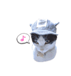 ともだちたくさん！（個別スタンプ：1）
