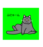 のんびり黒猫の日常会話（個別スタンプ：1）