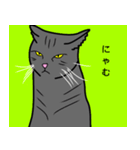 のんびり黒猫の日常会話（個別スタンプ：2）