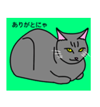 のんびり黒猫の日常会話（個別スタンプ：5）