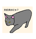 のんびり黒猫の日常会話（個別スタンプ：16）