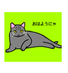 のんびり黒猫の日常会話（個別スタンプ：17）