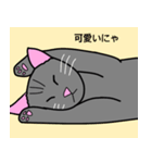 のんびり黒猫の日常会話（個別スタンプ：19）