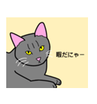 のんびり黒猫の日常会話（個別スタンプ：20）