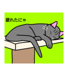 のんびり黒猫の日常会話（個別スタンプ：21）