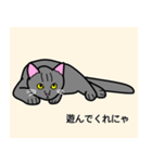 のんびり黒猫の日常会話（個別スタンプ：23）