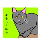 のんびり黒猫の日常会話（個別スタンプ：24）