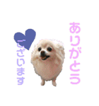 Raraちゃん（個別スタンプ：3）