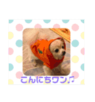Raraちゃん（個別スタンプ：5）