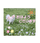 Raraちゃん（個別スタンプ：6）
