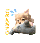 Raraちゃん（個別スタンプ：9）