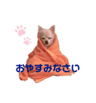 Raraちゃん（個別スタンプ：10）