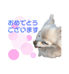 Raraちゃん（個別スタンプ：13）