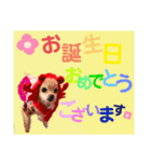 Raraちゃん（個別スタンプ：14）