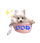 Raraちゃん（個別スタンプ：21）