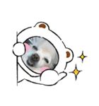 Raraちゃん（個別スタンプ：24）