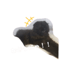 わたちはティッシュ2（個別スタンプ：14）
