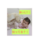 ポンタンるいたん（個別スタンプ：8）